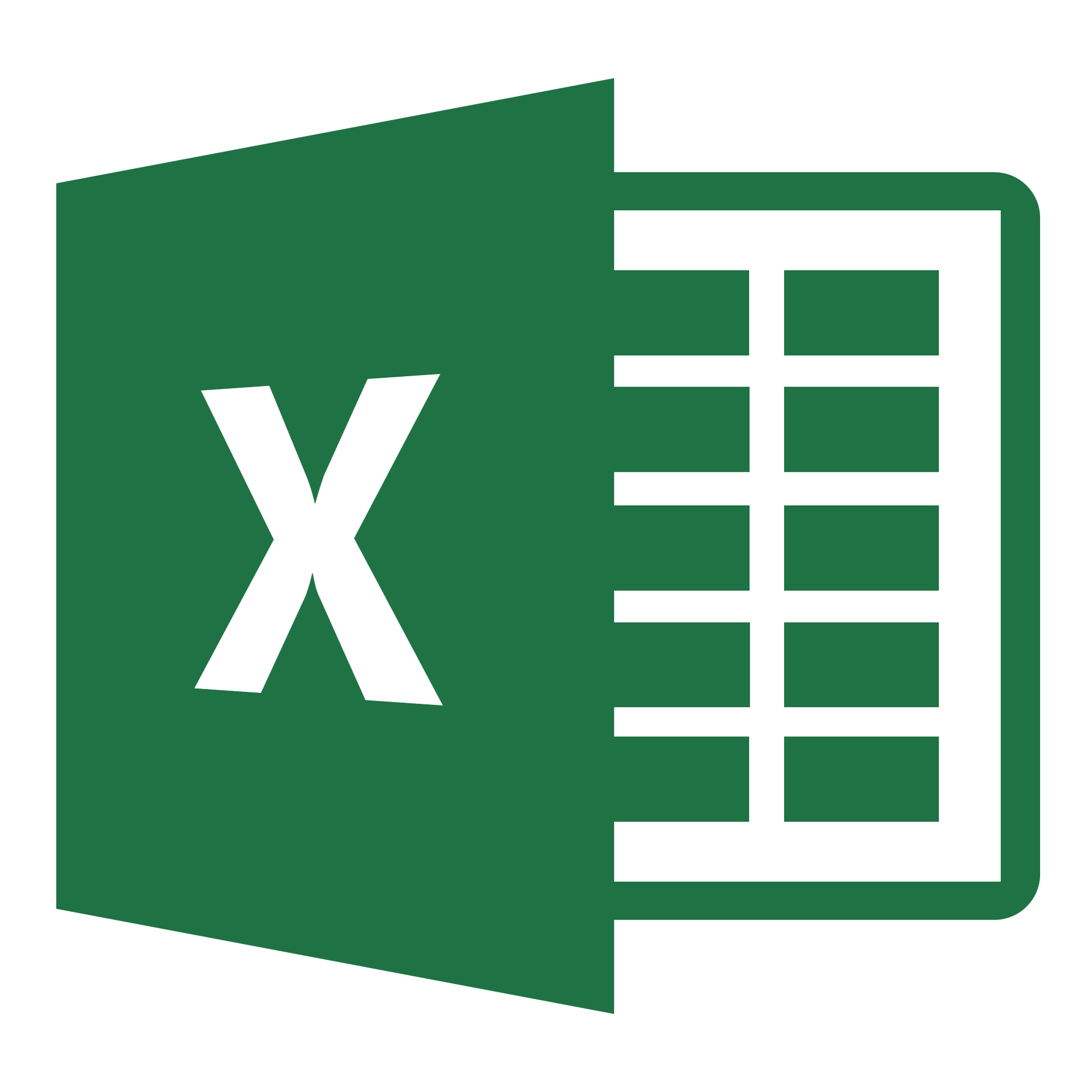 MS Excel