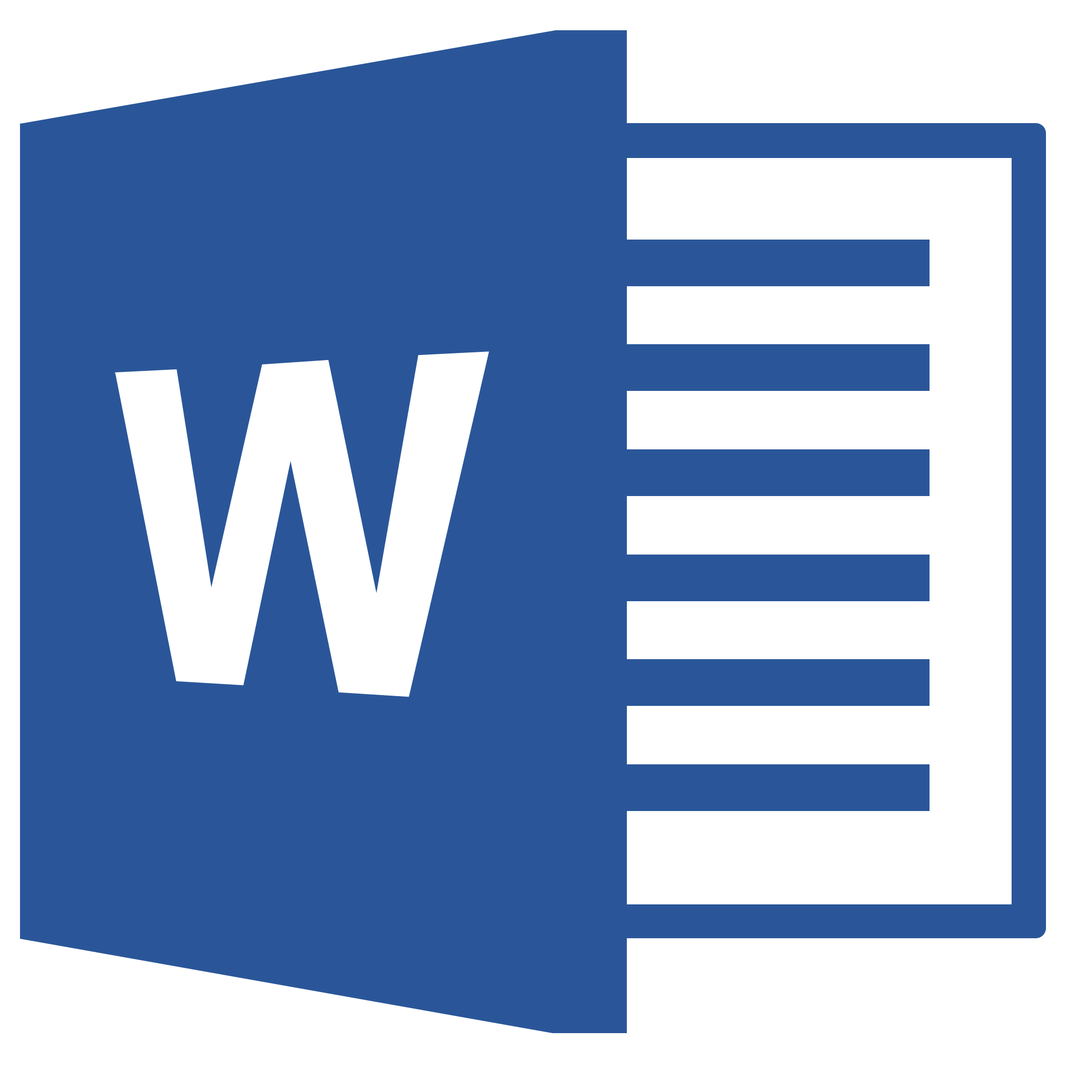 MS Word